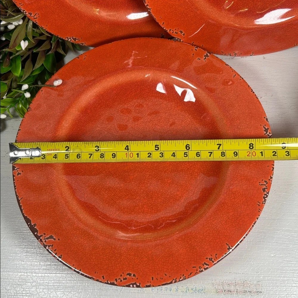 Gianna’s Home Plates Melamine Rustic Orange Plate Set Farmhouse Orange Plates